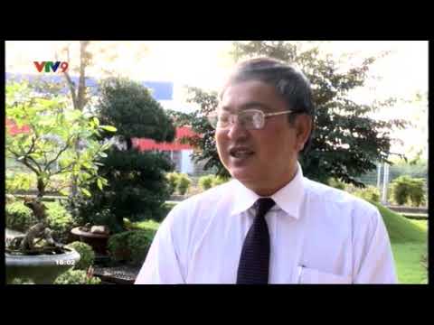 Xuân về trên các công trình nước sạch - VTV9
