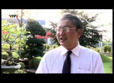 Xuân về trên các công trình nước sạch - VTV9