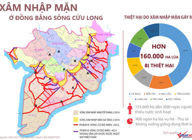 Infographic: Diễn biến xâm nhập mặn tại ĐBSCL và thiệt hại