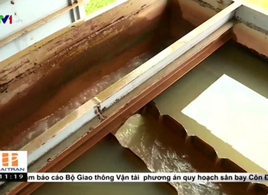 (VTV.vn) Báo động tình trạng nước sinh hoạt nhiễm amoni tại Hà Nội
