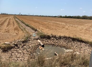 Một Đồng bằng sông Cửu Long ô nhiễm giữa mùa hạn mặn