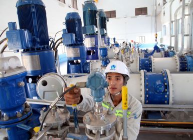 CỘNG HÒA ÁO SẴN SÀNG ĐỒNG HÀNH CÙNG VIỆT NAM BẢO VỆ VÀ TÁI TẠO TÀI NGUYÊN NƯỚC